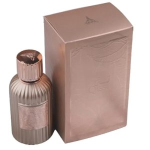 61hldwnt62l. Sl1500.jpg