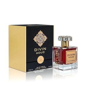Perfume Divin Aoud Edp 100ml.jpg